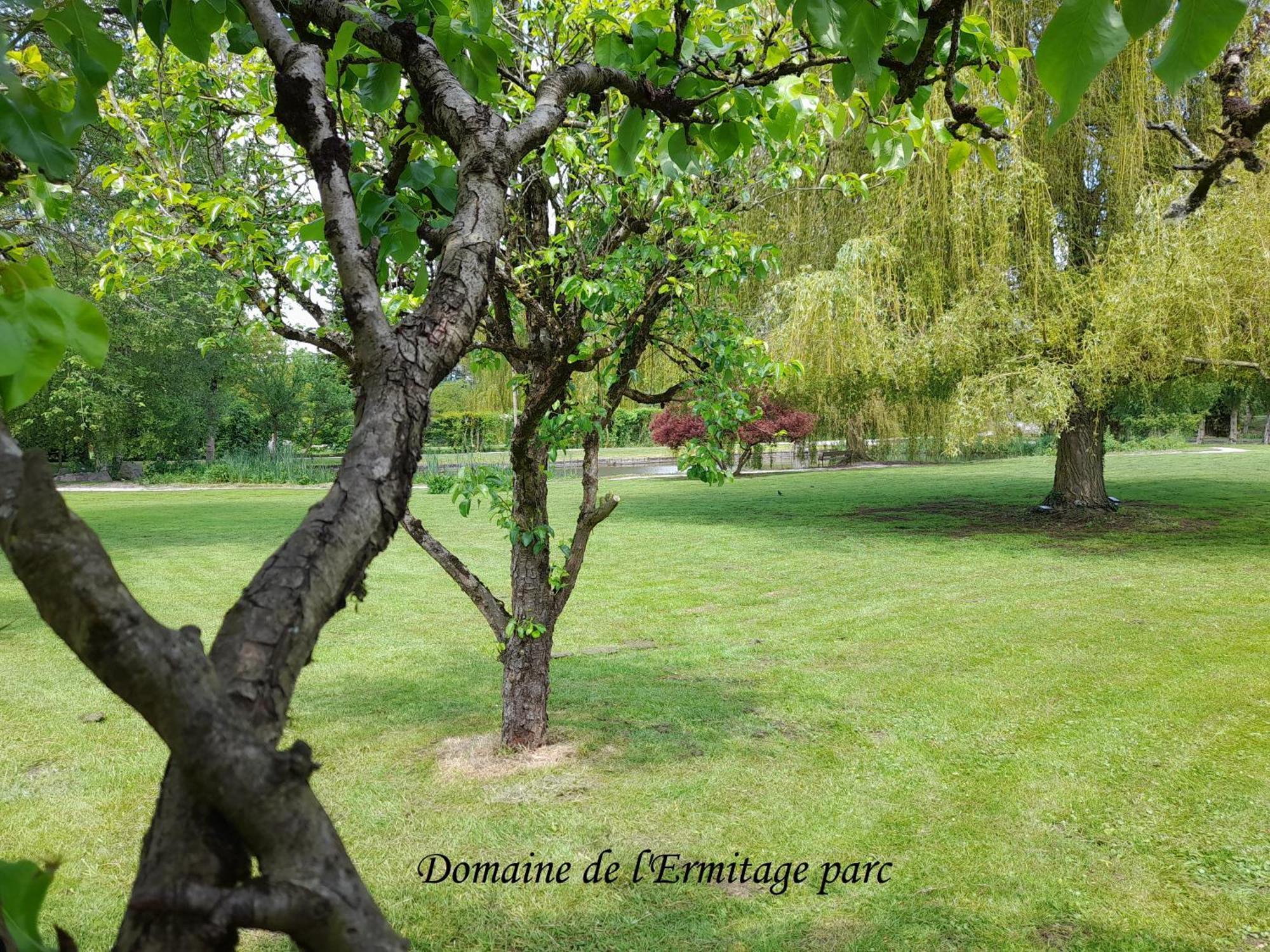 Domaine De L'Ermitage Villa Rue  Exteriör bild